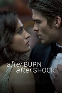 Afterburn Aftershock (2017) | Download Hollywood Movie