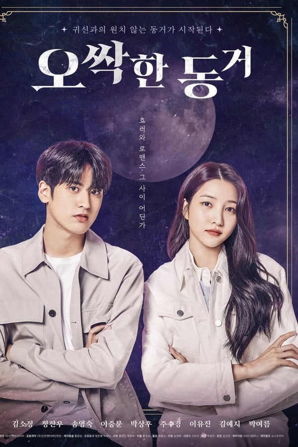 My Chilling Roommate (2022) | Download Korean Movie