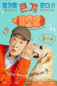 Dog Knows Everything S01 (Episode 12 Added) | Korean Drama